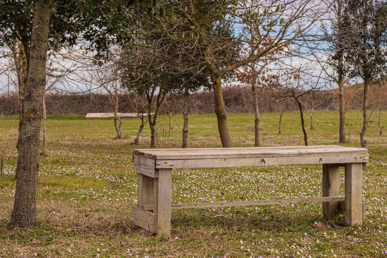 Il Fienile Di Margherita Vicchio Italy