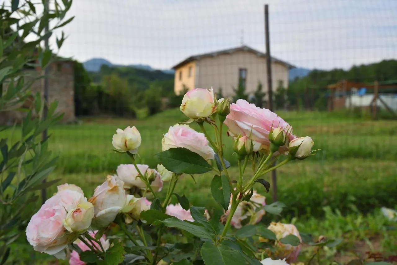 Il Fienile Di Margherita Vicchio Apartment
